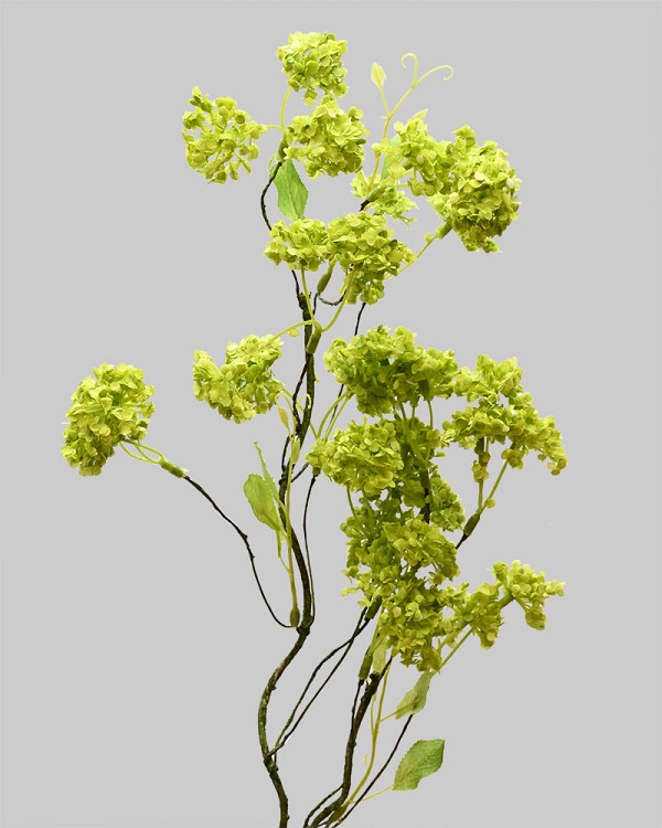 Wild Viburnum Branch 29" Green