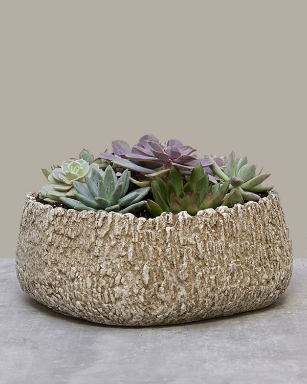 Stone Ridge Garden