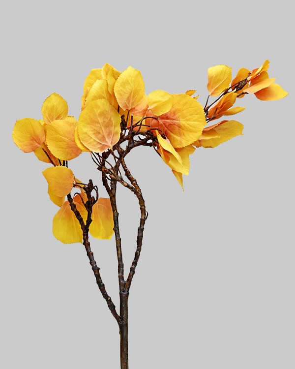 Aspen 29" Yellow