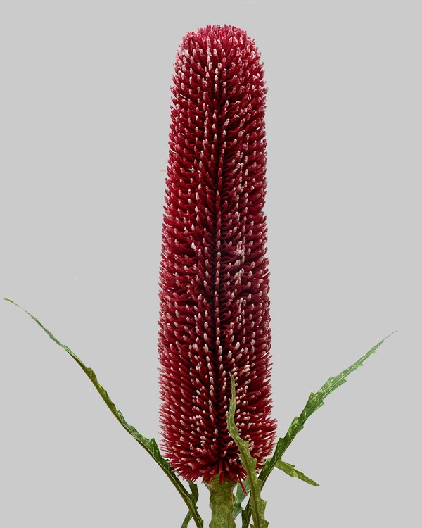Banksia Spray 31" Burgundy