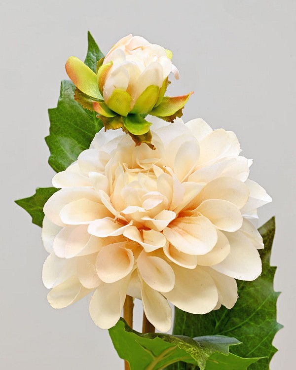 Dahlia 19.5" Light Peach