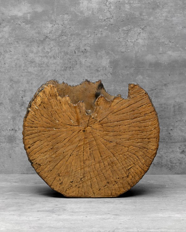 Wood Trunk - Brown 8"H