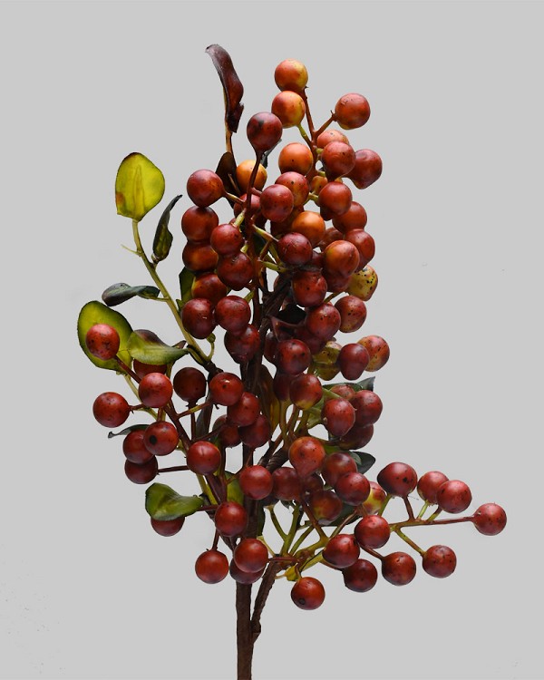Muscat Berry 17" Rust