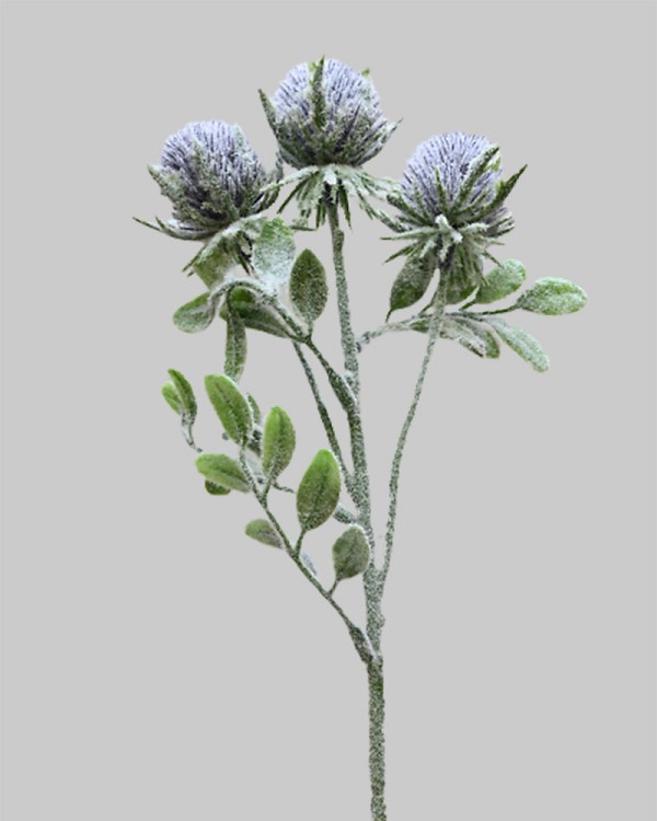 Garden Thistle 21" Purple