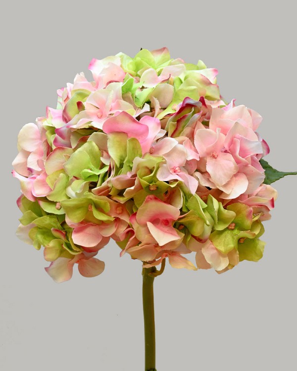 Hydrangea 18" (7" Bloom) Pink/Green