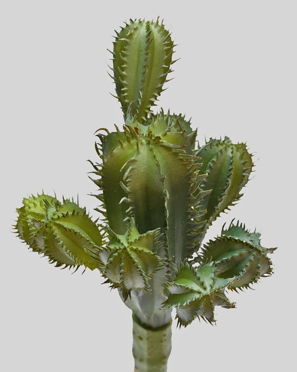 Mini Column Cactus 7" Green