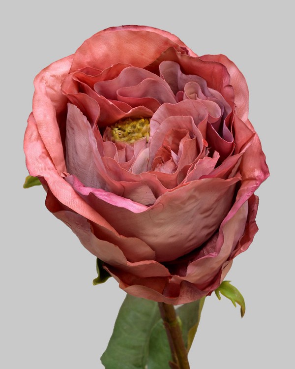 Rose Dutchess Bud 21.5" Rust