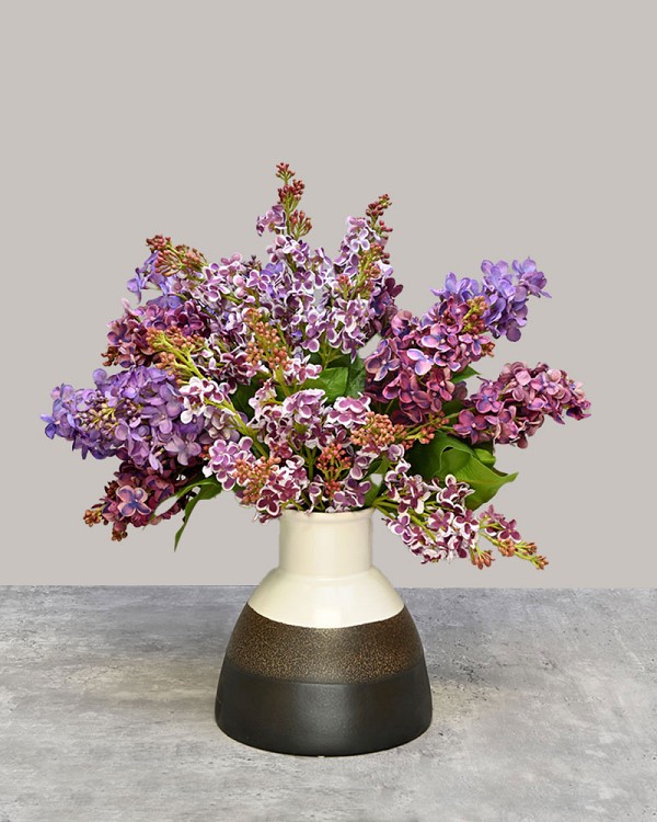 Lilac Dreams