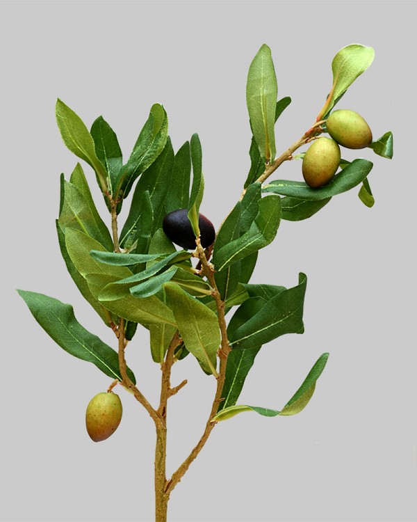 Olive Leaf 21" Black/Green