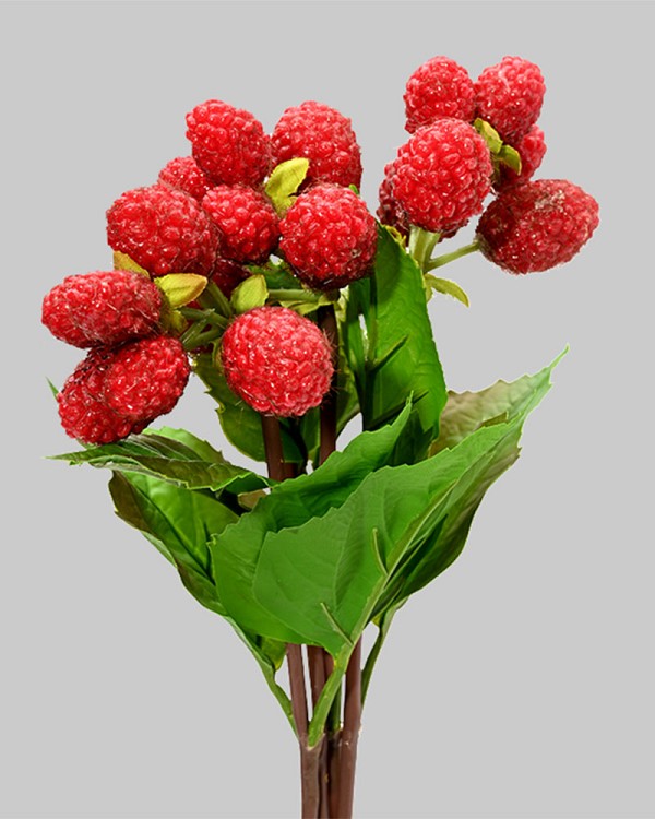 Raspberry Bundle 12" Red