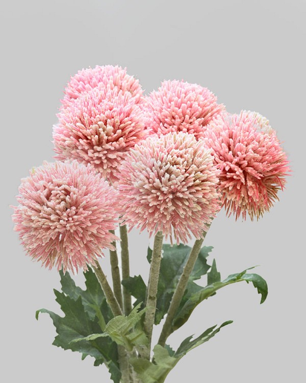 Globe Thistle Bundle 15.25" Pink