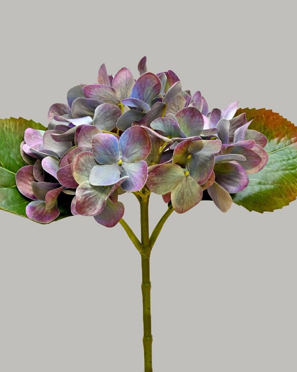 Hydrangea 17" Light Blue/Purple