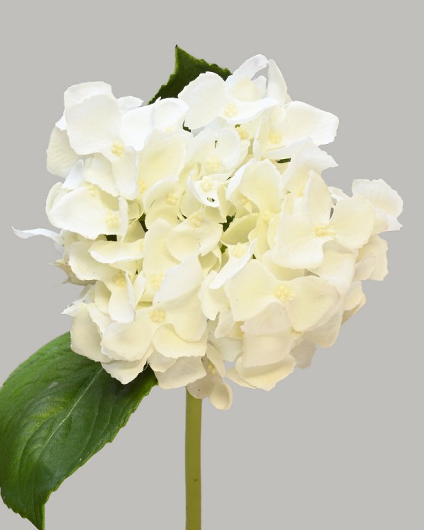 Hydrangea 18" (4" Bloom) White