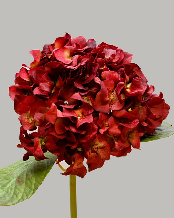 Hydrangea 18" (7" Bloom) Red