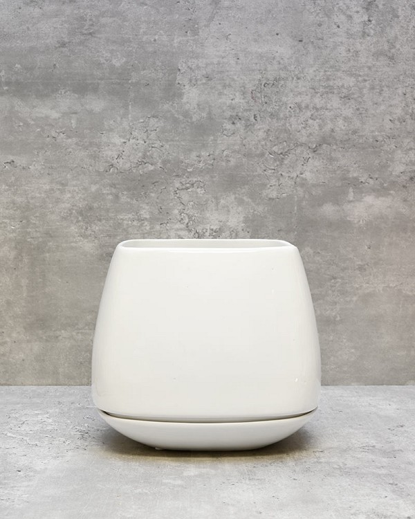 Modern Planter with Base 6.5"H