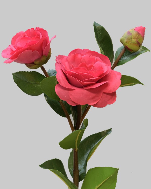 Camellia 29" Red