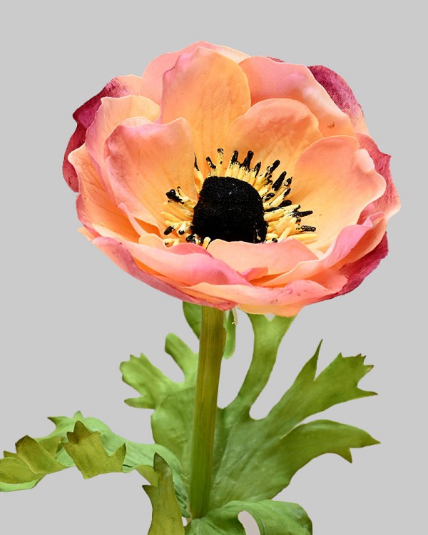 Anemone 17.5" Cream/Mauve