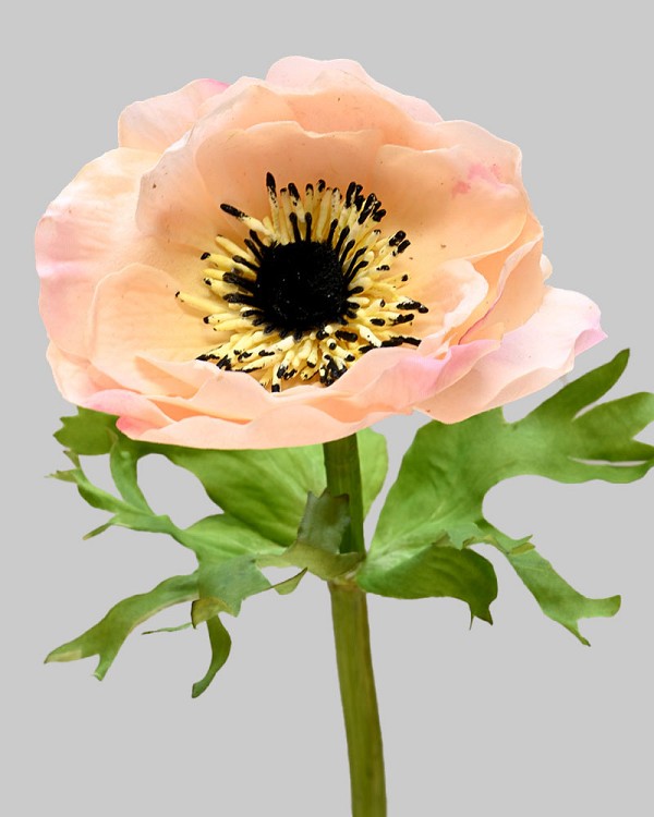 Anemone 17.5" Peach