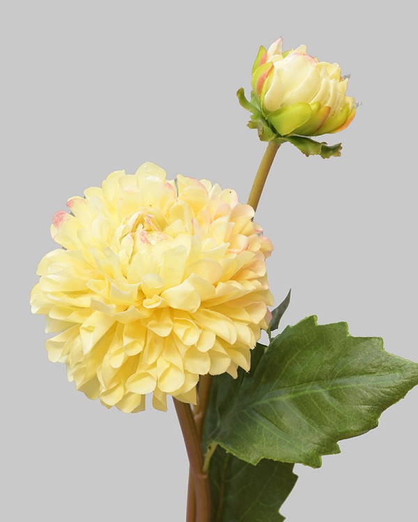 Dahlia 20" Yellow/Pink