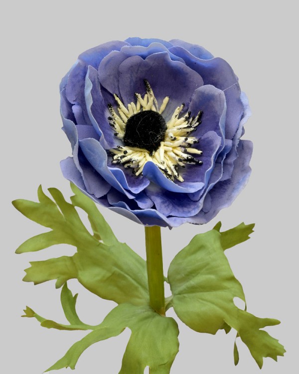 Anemone 17.5" Blue