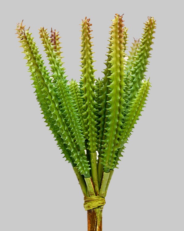 Cactus Succulent 10.5" Green
