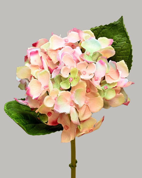 Hydrangea 18" (4" Bloom) Mauve/Green