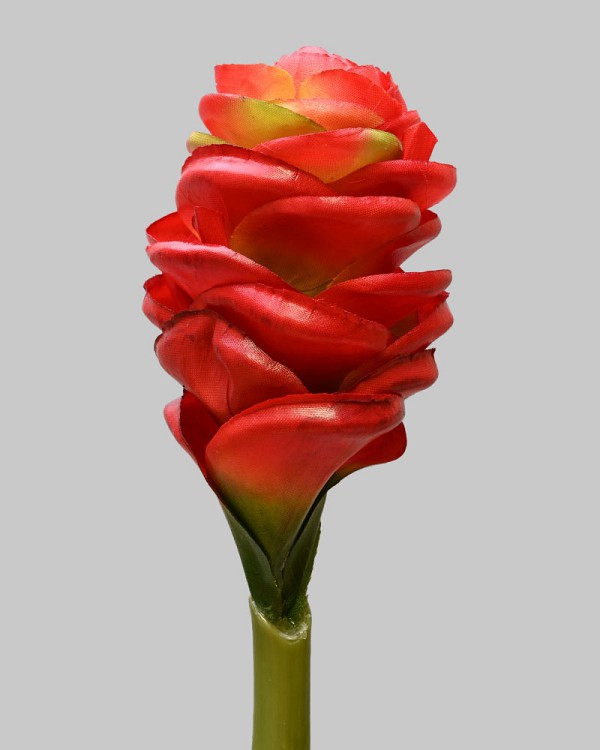 Ginger Cone 24" Red
