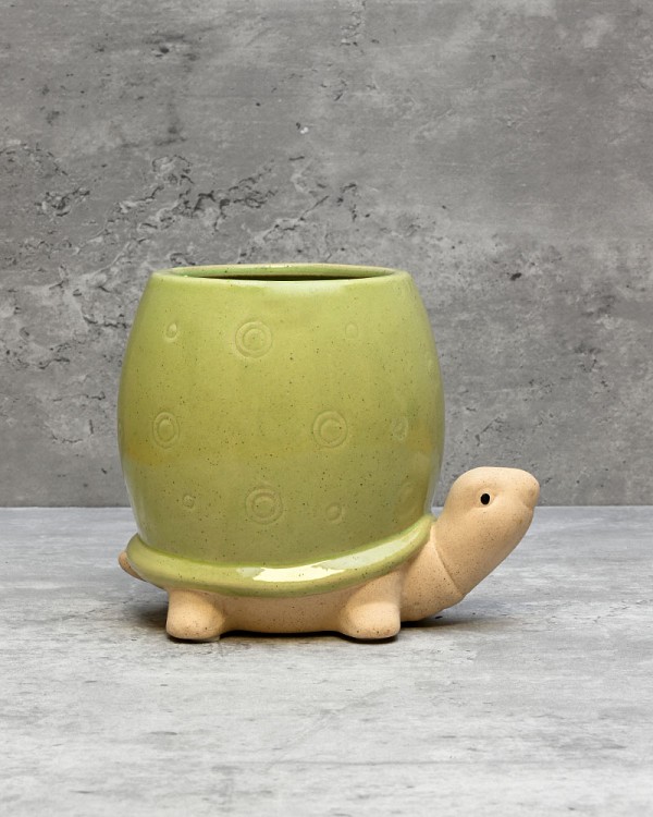 Turtle Planter 5"H