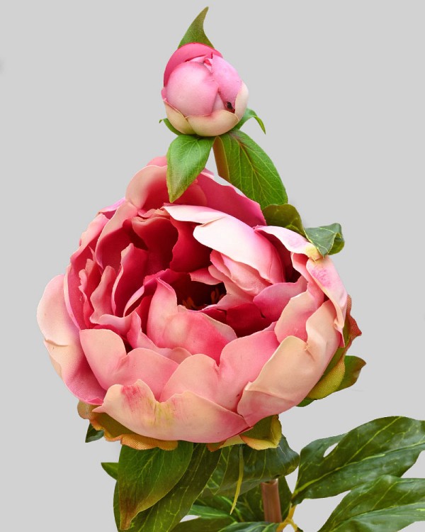 Peony with Bud 23" Fuchsia
