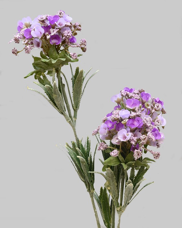 Mountain Laurel 30" Lavender