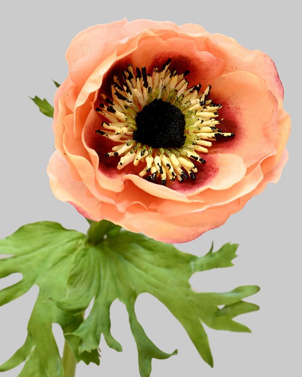 Anemone 17.5" Coral