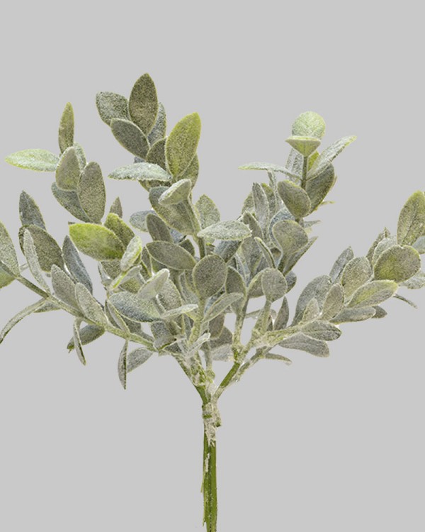 Frosted Mistletoe 9.5" Green