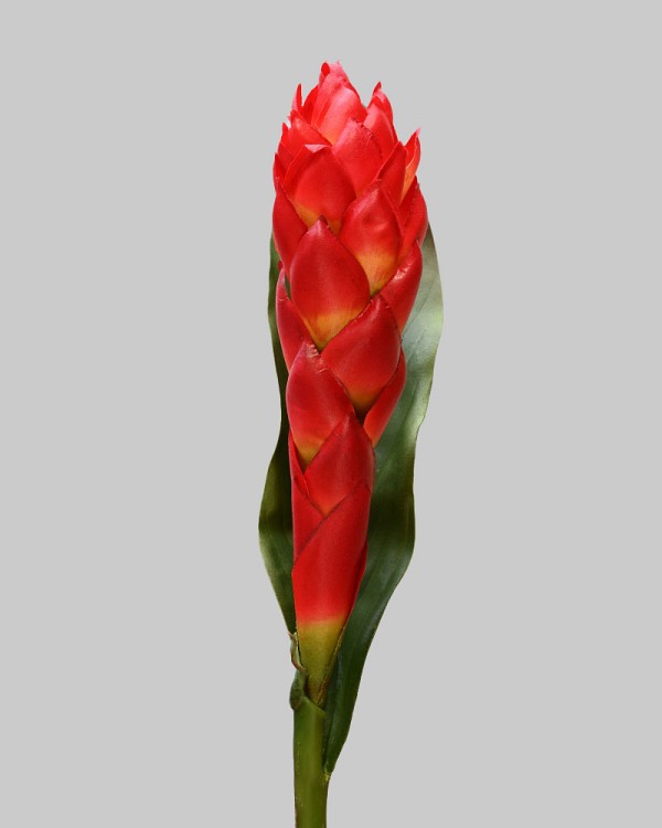 Ginger 32" Red/Yellow