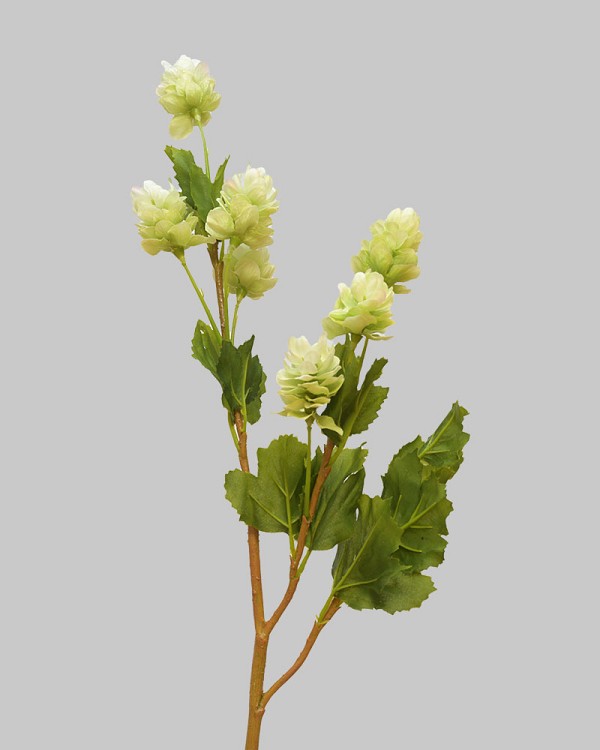 Hops 26.5" Green