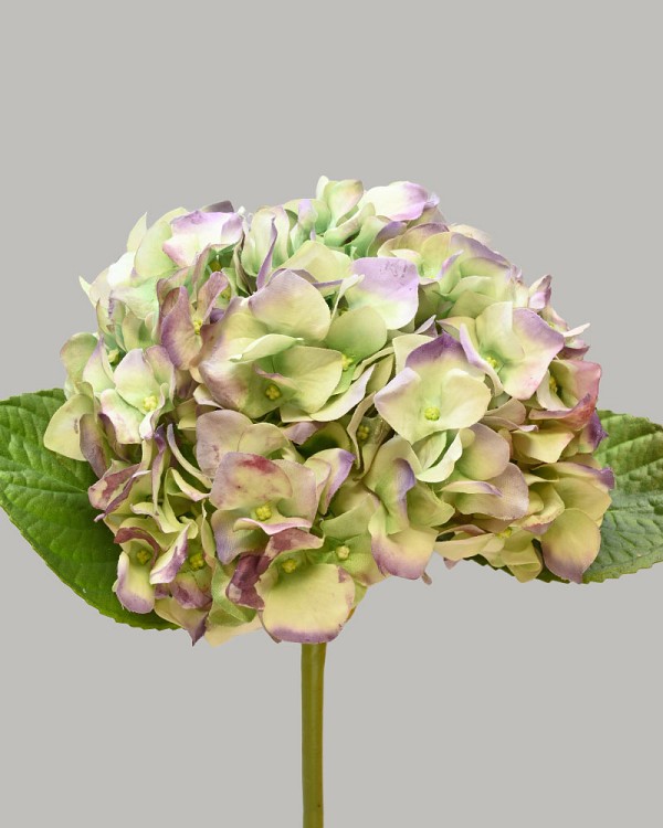 Hydrangea 18" (7" Bloom) Light Green/Purple
