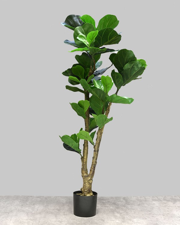 Fiddle Leaf Tree 48"H