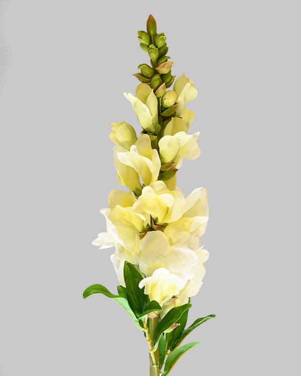 Snapdragon 23" Yellow
