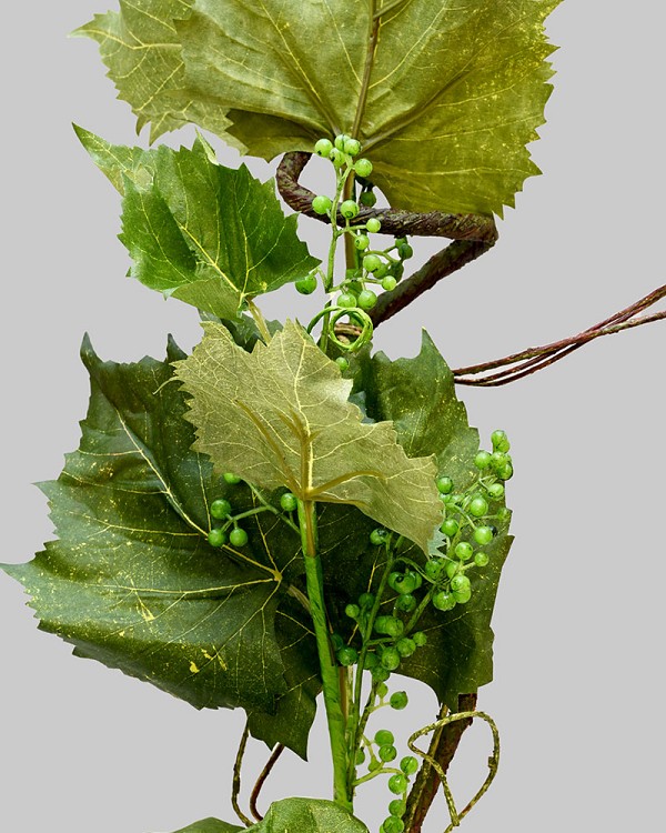 Spring Vineyard Branch 32" Green