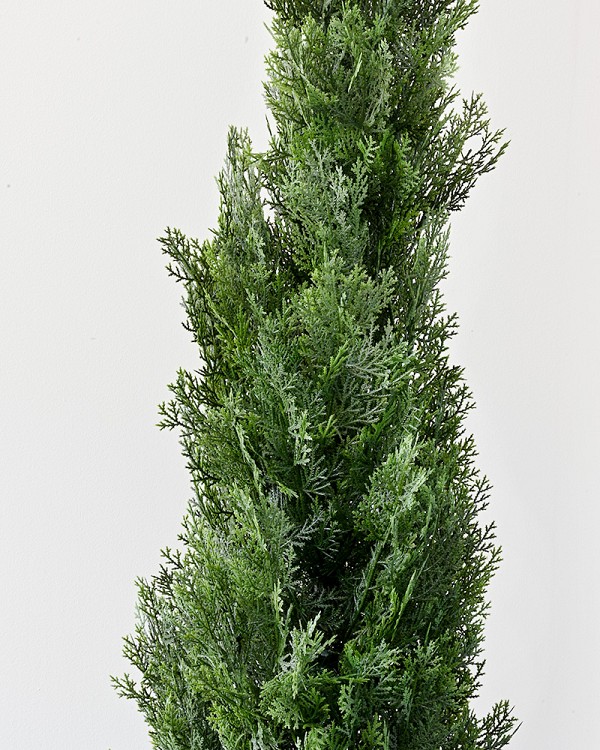 TR-WCDR-GR-60